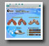 South Florida website designer